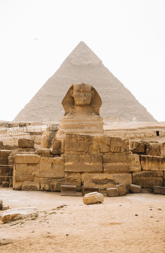How horses changed ancient Egypt